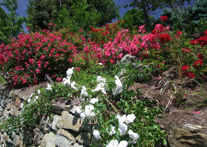 Les Jardins De L'abbaye Simiane-la-Rotonde