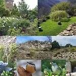 Les Jardins De L'abbaye Homestay *