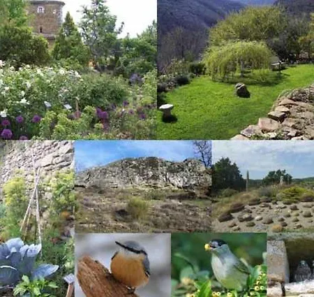 Les Jardins De L'abbaye Pansiyon *