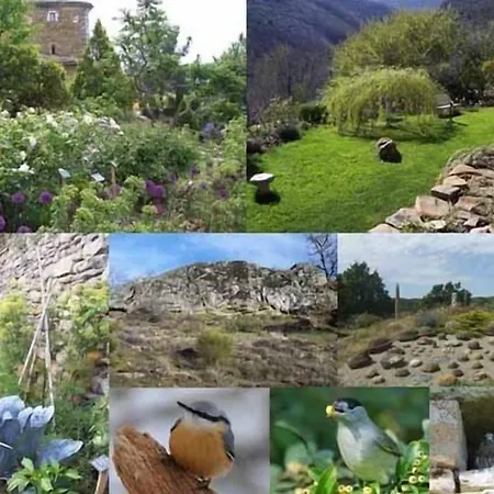 Les Jardins De L'abbaye * Simiane-la-Rotonde
