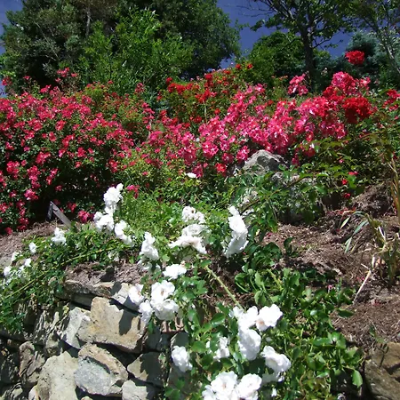 Les Jardins De L'abbaye Simiane-la-Rotonde