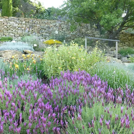 Pansiyon Les Jardins De L'abbaye Simiane-la-Rotonde