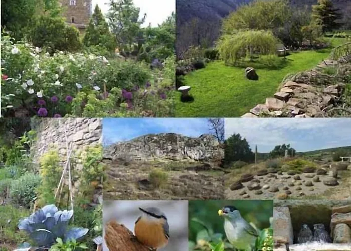 Les Jardins De L'abbaye * Simiane-la-Rotonde