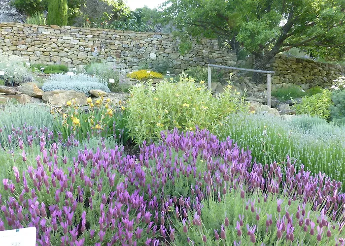 Séjour chez l'habitant Les Jardins De L'abbaye Simiane-la-Rotonde